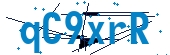 recaptcha