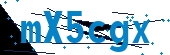 recaptcha