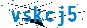 recaptcha